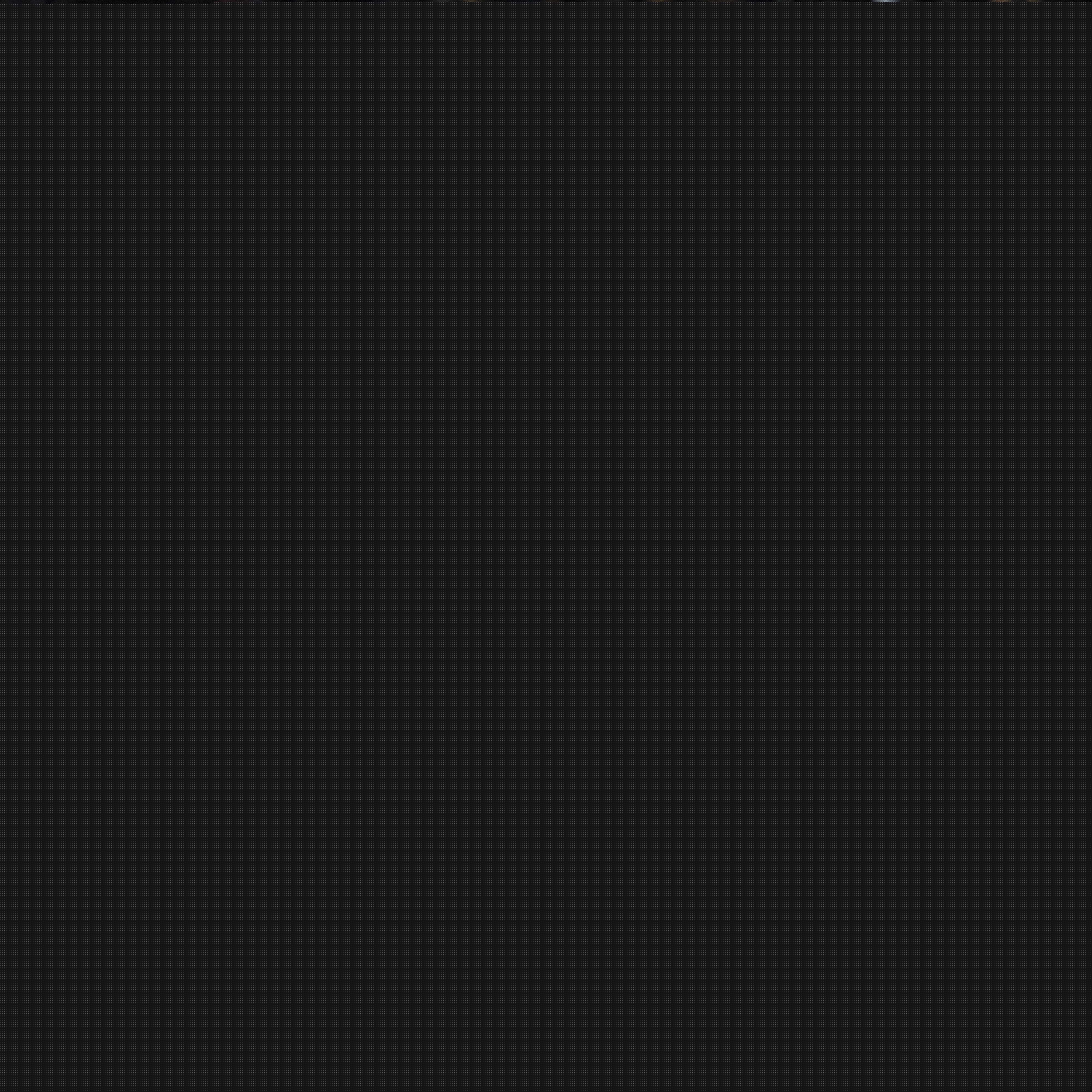自我